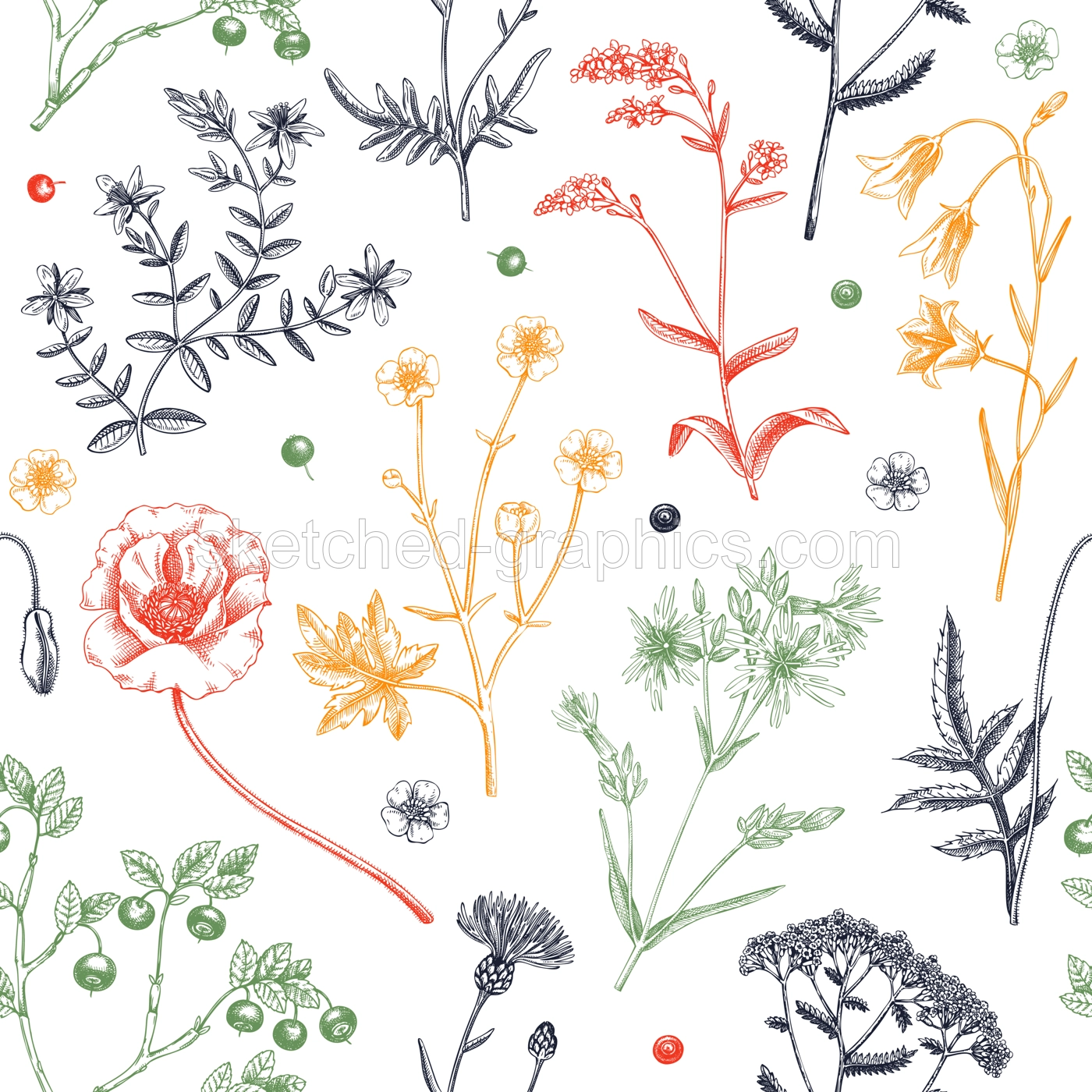 Summer background with flowers and berries. Wildflowers seamless pattern in sketch style. Herbs, meadows, flowering plants vector illustrations. Floral design in engraved style for textile or fabric Illustration